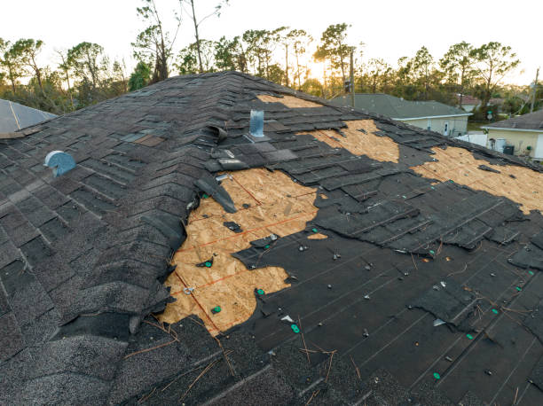 Best Steel Roofing  in Hartington, NE