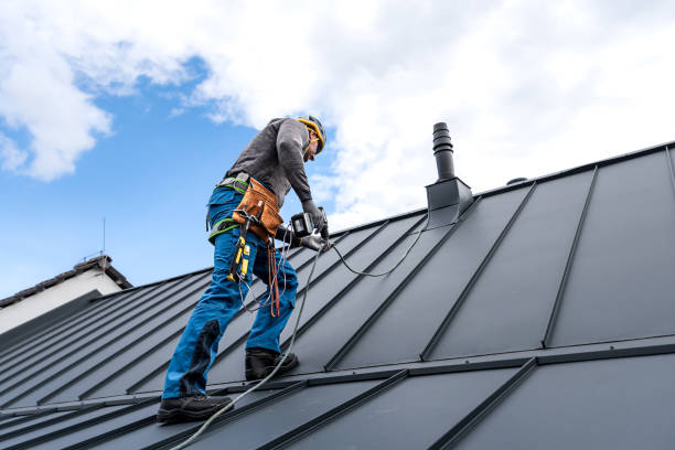 Best Storm Damage Roof Repair  in Hartington, NE